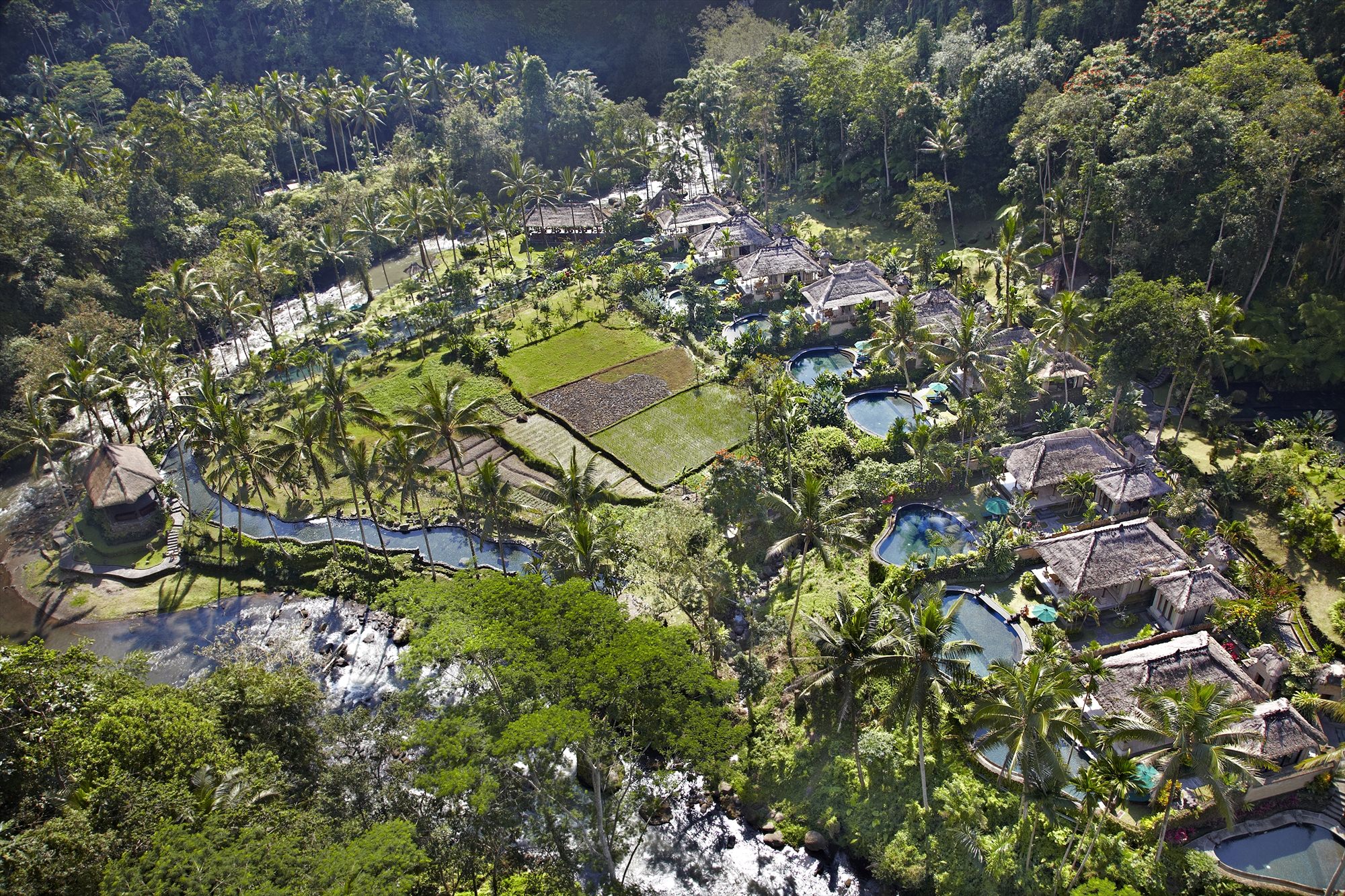 hotel dans la jungle